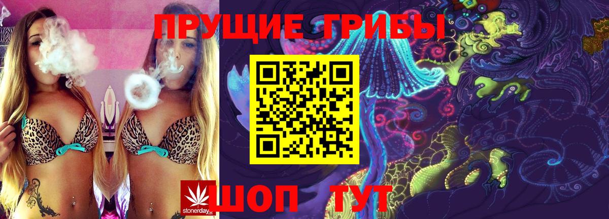 Псилоцибиновые грибы Psilocybe Ковров